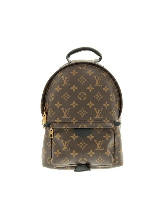 Louis Vuitton Monogram Palm Springs Backpack PM main image 9